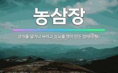 🌟농삼장: 상자를 넣거나 싸려고 삼노를 엮어 만든 망태나 보. - 표준국어대사전