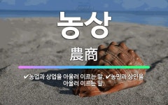 🌟농상: 농업과 상업을 아울러 이르는 말., 농민과 상인을 아울러 이르는 말. - 표준국어대사전