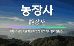 🌟농장사: 예전에, 근담배를 채롱에 담아 지고 다니면서 팔던 일. - 표준국어대사전