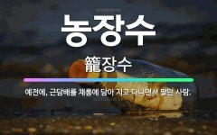 🌟농장수: 예전에, 근담배를 채롱에 담아 지고 다니면서 팔던 사람. - 표준국어대사전