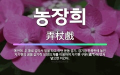 🌟농장희: 예전에, 두 패로 갈라서 말을 타고 하던 운동 경기. 경기장 한복판에 놓인 자기편의 공을 숟가락... - 표준국어대사전