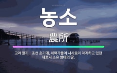 🌟농소: 고려 말기ㆍ조선 초기에, 세력가들이 사사로이 차지하고 있던 대토지 소유 형태의 땅. - 표준국어대사전
