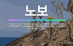 🌟노보: 무당들의 은어로, ‘당주’를 이르는 말. (당주: 예전에, 나라에서 지내는 기우제(祈雨祭), 기설... - 표준국어대사전