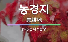 🌟농경지: 농사짓는 데 쓰는 땅. - 표준국어대사전