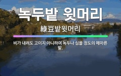 🌟녹두밭 윗머리: 비가 내려도 고이지 아니하여 녹두나 심을 정도의 메마른 밭. - 표준국어대사전