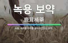 🌟녹용 보약: 녹용, 숙지황 따위를 넣어서 만드는 보약. - 표준국어대사전