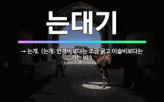 🌟는대기: → 는개. (는개: 안개비보다는 조금 굵고 이슬비보다는 가는 비.) - 표준국어대사전