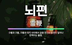 🌟뇌편: 구름과 구름, 구름과 대지 사이에서 공중 전기의 방전이 일어나 번쩍이는 불꽃. - 표준국어대사전