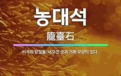 🌟농대석: 비석의 받침돌. 네모진 것과 거북 모양이 있다. - 표준국어대사전