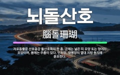 🌟뇌돌산호: 자포동물문 산호충강 돌산호목의 한 종. 군체는 넓은 띠 모양 또는 덩어리 모양이며, 몸에는 주... - 표준국어대사전
