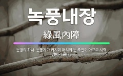 🌟녹풍내장: 눈병의 하나. 눈동자가 커지며 머리와 눈 주변이 아프고 시력 장애가 온다. - 표준국어대사전