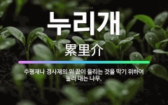🌟누리개: 수평재나 경사재의 위 끝이 들리는 것을 막기 위하여 눌러 대는 나무. - 표준국어대사전
