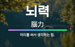 🌟뇌력: 머리를 써서 생각하는 힘. - 표준국어대사전
