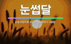 🌟눈썹달: 눈썹 모양으로 보이는 초승달이나 그믐달. - 표준국어대사전