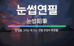 🌟눈썹연필: 눈썹을 그리는 데 쓰는 연필 모양의 화장품. - 표준국어대사전