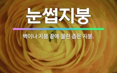 🌟눈썹지붕: 벽이나 지붕 끝에 물린 좁은 지붕. - 표준국어대사전