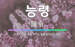 🌟능령: 조선 시대에, 능을 지키는 일을 맡아보던 벼슬. - 표준국어대사전