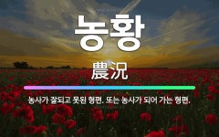 🌟농황: 농사가 잘되고 못된 형편. 또는 농사가 되어 가는 형편. - 표준국어대사전