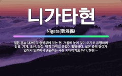 🌟니가타현: 일본 혼슈(本州)의 중북부에 있는 현. 겨울에 눈이 많이 오기로 유명하며 정유, 기계, 조선,... - 표준국어대사전