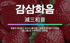 🌟감삼화음: 밑음과 제5음이 감오도(減五度), 밑음과 제3음이 단삼도(短三度)로 이루어지는 삼화음. - 표준국어대사전