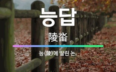🌟능답: 능(陵)에 딸린 논. - 표준국어대사전