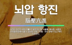 🌟뇌압 항진: 뇌척수 공간의 내압(內壓)이 높아지는 일. 뇌출혈, 물뇌증, 뇌종양, 수막염 따위에서 볼 수... - 표준국어대사전