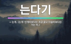 🌟는다기: → 는개. (는개: 안개비보다는 조금 굵고 이슬비보다는 가는 비.) - 표준국어대사전