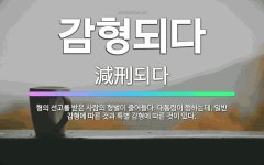 🌟감형되다: 형의 선고를 받은 사람의 형벌이 줄어들다. 대통령이 행하는데, 일반 감형에 따른 것과 특별 감... - 표준국어대사전
