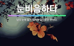 🌟눈비음하다: 남의 눈에 들기 위하여 겉으로만 꾸미다. - 표준국어대사전