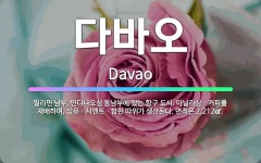 🌟다바오: 필리핀 남부, 민다나오섬 동남부에 있는 항구 도시. 마닐라삼ㆍ커피를 재배하며, 섬유ㆍ시멘트ㆍ합판... - 표준국어대사전