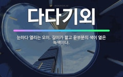 🌟다다기외: 눈마다 열리는 오이. 길이가 짧고 끝부분의 색이 옅은 녹색이다. - 표준국어대사전