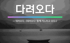 🌟다려오다: → 데려오다. (데려오다: 함께 거느리고 오다.) - 표준국어대사전