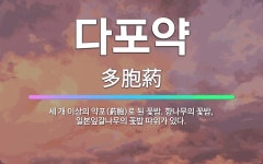 🌟다포약: 세 개 이상의 약포(葯胞)로 된 꽃밥. 향나무의 꽃밥, 일본잎갈나무의 꽃밥 따위가 있다. - 표준국어대사전