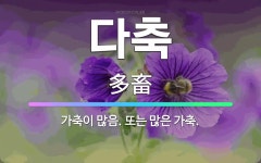 🌟다축: 가축이 많음. 또는 많은 가축. - 표준국어대사전