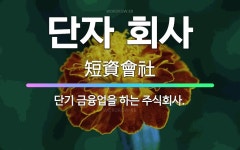 🌟단자 회사: 단기 금융업을 하는 주식회사. - 표준국어대사전