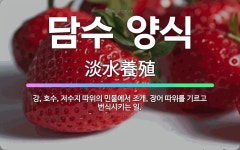 🌟담수 양식: 강, 호수, 저수지 따위의 민물에서 조개, 장어 따위를 기르고 번식시키는 일. - 표준국어대사전