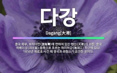 🌟다강: 중국 북부, 보하이만(渤海灣)에 면하여 있는 톈진(天津)의 외항. 중국 허베이성(河北省) 동쪽으로... - 표준국어대사전