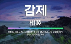 🌟감제: 해마다 제주도에서 진상하는 황감을 성균관과 사학 유생들에게 내리고 실시하던 과거. - 표준국어대사전