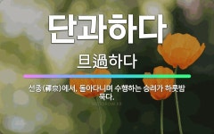 🌟단과하다: 선종(禪宗)에서, 돌아다니며 수행하는 승려가 하룻밤 묵다. - 표준국어대사전