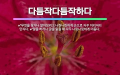 🌟다듬작다듬작하다: 무엇을 찾거나 알아보려고 나릿나릿하게 손으로 자꾸 이리저리 만지다., 말을 하거나 글을... - 표준국어대사전