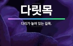 🌟다릿목: 다리가 놓여 있는 길목. - 표준국어대사전