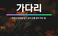 🌟가다리: 하루의 임금을 받고 남의 논을 갈아 주는 일. - 표준국어대사전