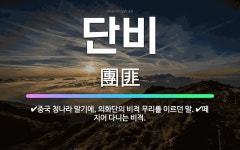 🌟단비: 중국 청나라 말기에, 의화단의 비적 무리를 이르던 말., 떼 지어 다니는 비적. - 표준국어대사전