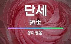 🌟단세: 명이 짧음. - 표준국어대사전