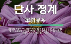 🌟단사 정계: 광물 결정 모양의 하나. 결정의 세 축 가운데 둘은 경사지게 만나고, 다른 하나는 그것들과 ... - 표준국어대사전