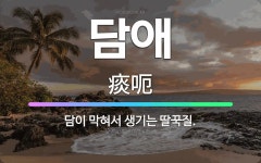 🌟담애: 담이 막혀서 생기는 딸꾹질. - 표준국어대사전