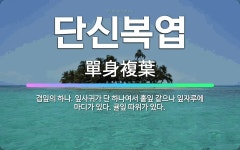 🌟단신복엽: 겹잎의 하나. 잎사귀가 단 하나여서 홑잎 같으나 잎자루에 마디가 있다. 귤잎 따위가 있다. - 표준국어대사전