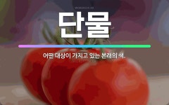 🌟단물: 어떤 대상이 가지고 있는 본래의 색. - 표준국어대사전