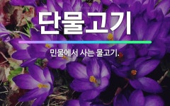 🌟단물고기: 민물에서 사는 물고기. - 표준국어대사전