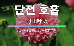 🌟단전 호흡: 단전으로 숨을 쉬는 정신 수련법의 하나. - 표준국어대사전